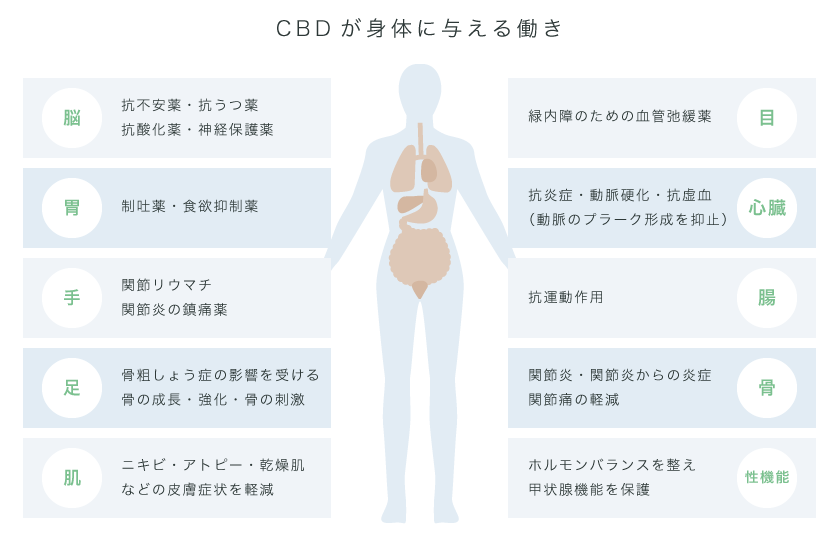 CBDが身体に与える働きの図解